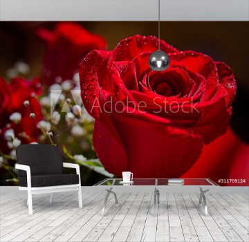 Picture of A red rose in the foreground